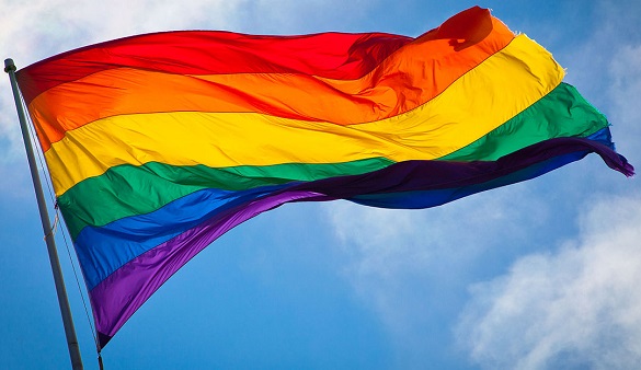 sochi russia rainbow flag sega