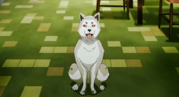 20140520-193549_Koromaru